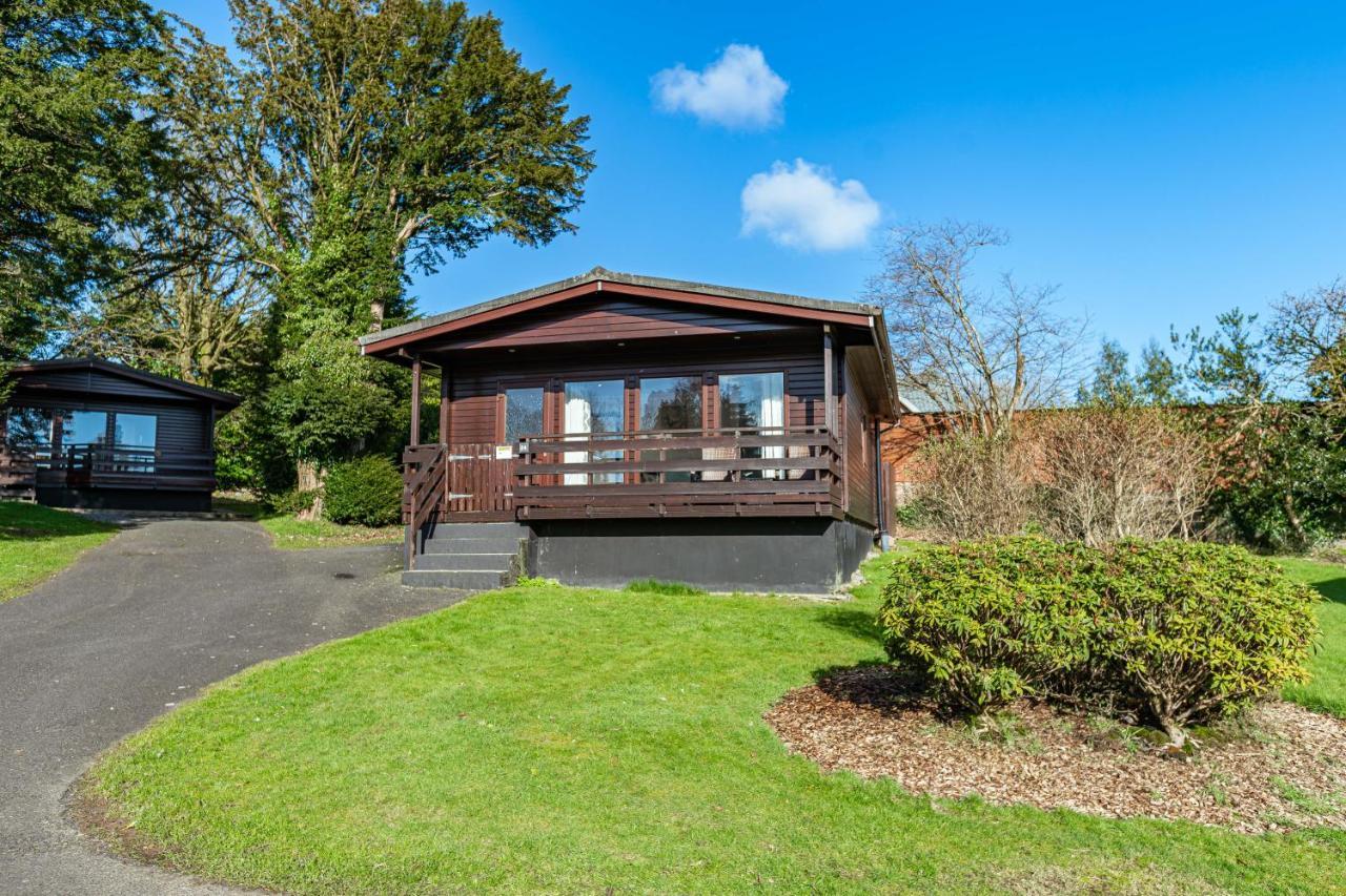 Bluebell Lodge 24 With Hot Tub Newton Stewart Buitenkant foto
